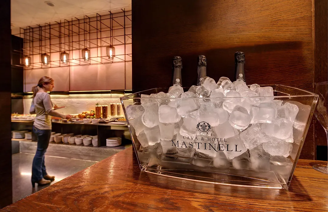 Olivia Plaza Hotel-1